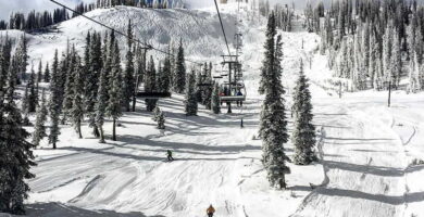 wolf creek webcam